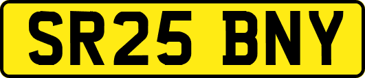 SR25BNY