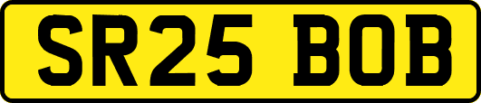 SR25BOB