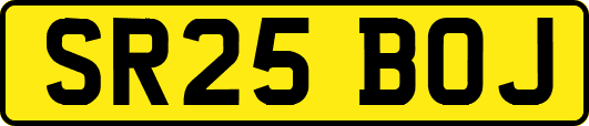 SR25BOJ
