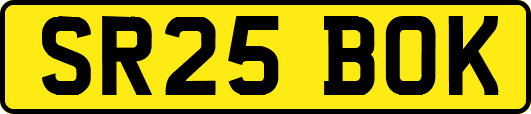 SR25BOK