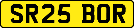 SR25BOR