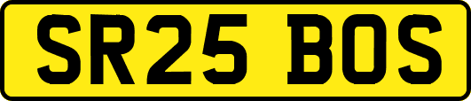 SR25BOS