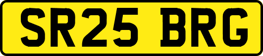 SR25BRG