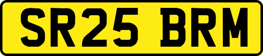 SR25BRM