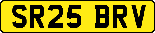 SR25BRV