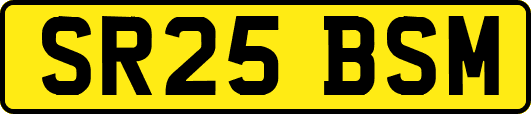 SR25BSM