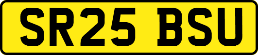 SR25BSU