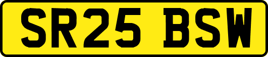 SR25BSW