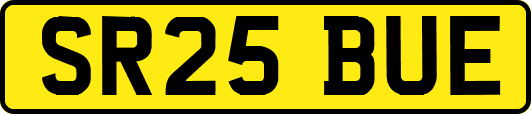 SR25BUE