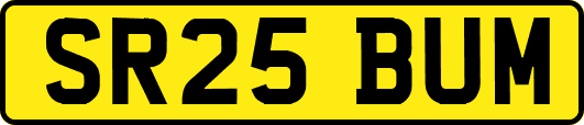 SR25BUM