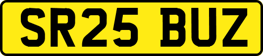 SR25BUZ