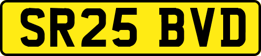 SR25BVD