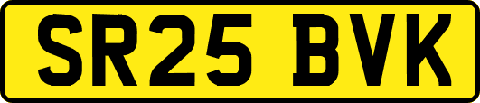 SR25BVK