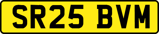 SR25BVM