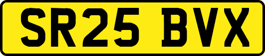 SR25BVX