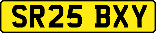 SR25BXY
