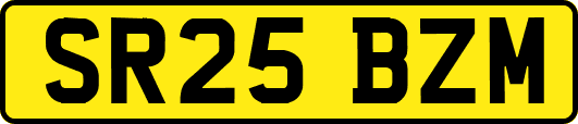 SR25BZM