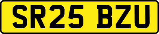 SR25BZU