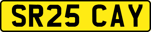 SR25CAY