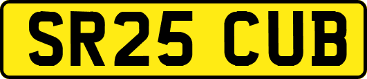 SR25CUB