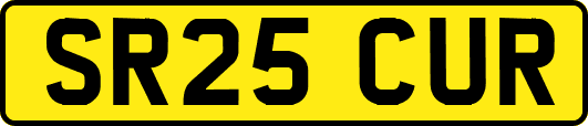 SR25CUR