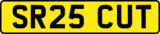 SR25CUT