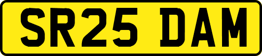 SR25DAM