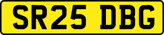 SR25DBG
