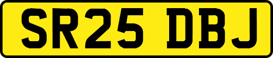 SR25DBJ