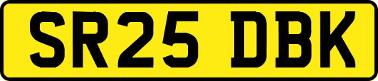 SR25DBK