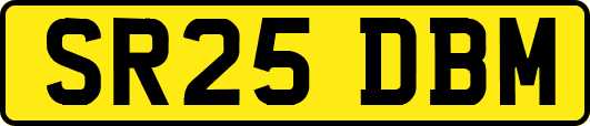 SR25DBM