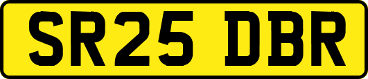 SR25DBR