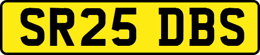 SR25DBS