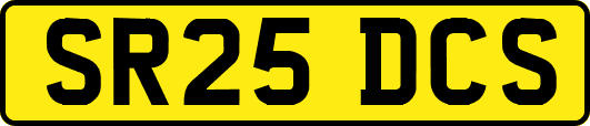 SR25DCS