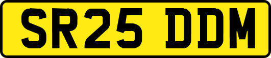 SR25DDM
