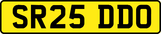SR25DDO