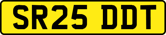 SR25DDT