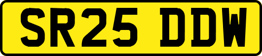 SR25DDW