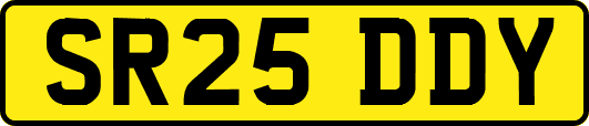 SR25DDY