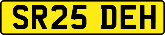 SR25DEH