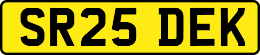 SR25DEK