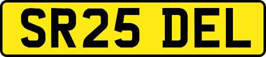 SR25DEL