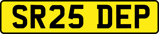 SR25DEP