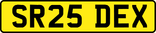SR25DEX