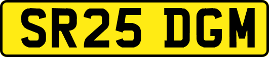 SR25DGM
