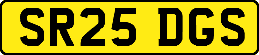 SR25DGS