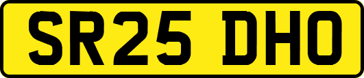 SR25DHO