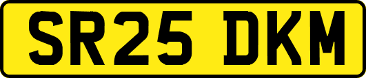 SR25DKM