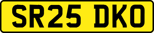 SR25DKO