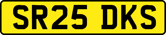 SR25DKS